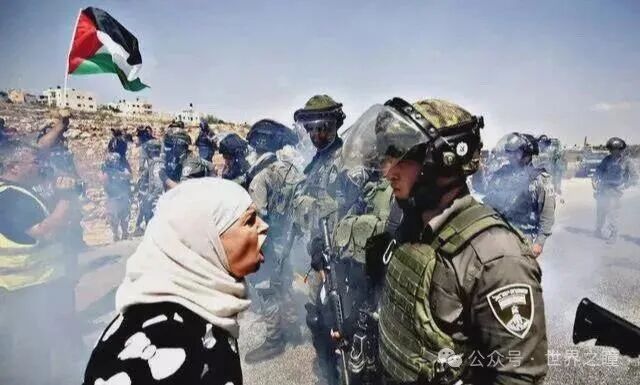 202601_17685998515194.jpg 640 (14).jpg