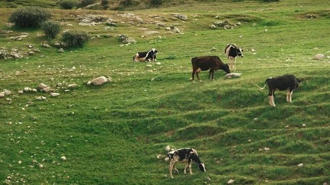 202601_17692041696196.jpg 640 (7).jpg