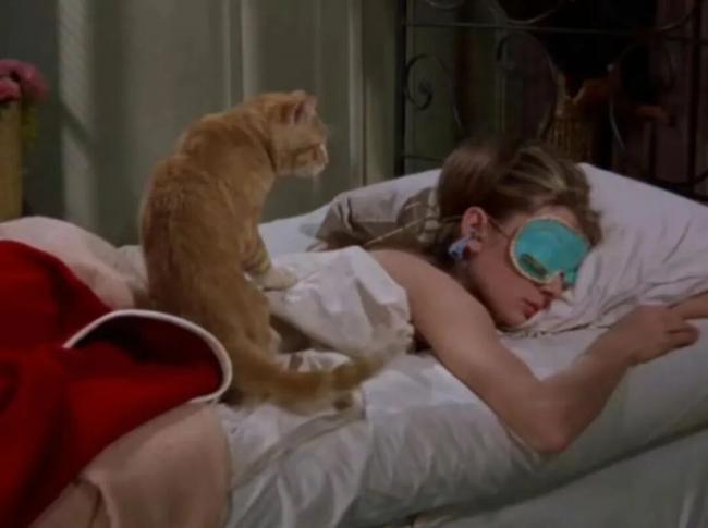 202601_17696352615739.jpg 640 (13).jpg