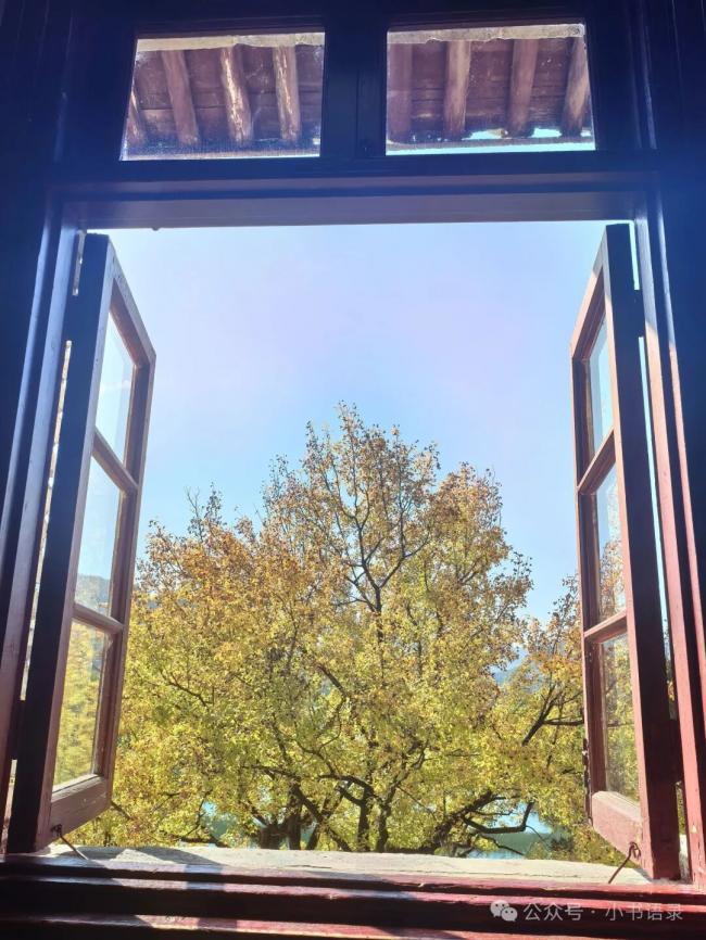 202602_17710135979995.jpg 640 (16).jpg