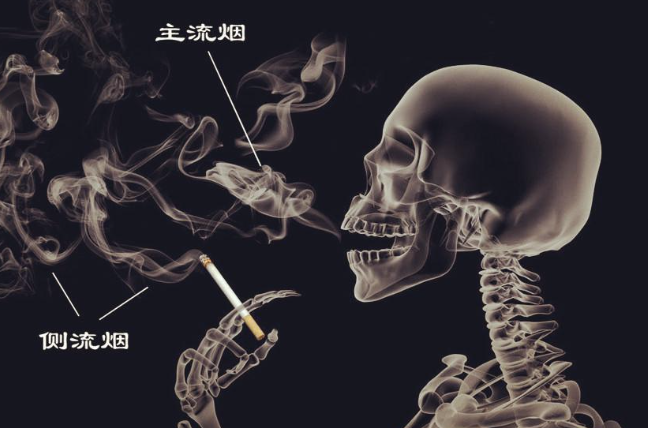 202602_17718757032114.png Capture.PNG