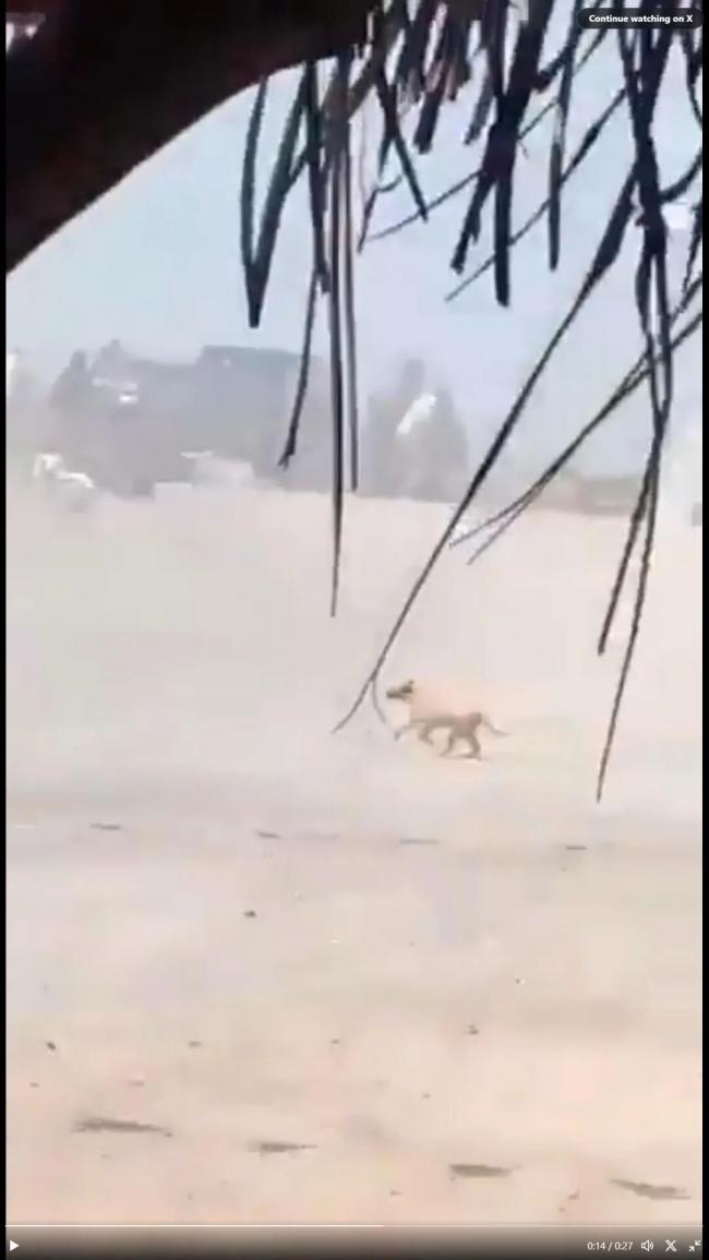 202602_17718761034634.jpg 640 (10).jpg