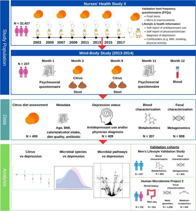 202602_17722238258040.png 640 (1).png