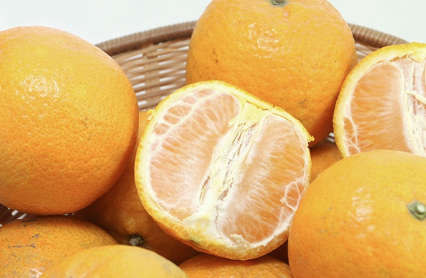 202602_17722239766375.png Capture.PNG