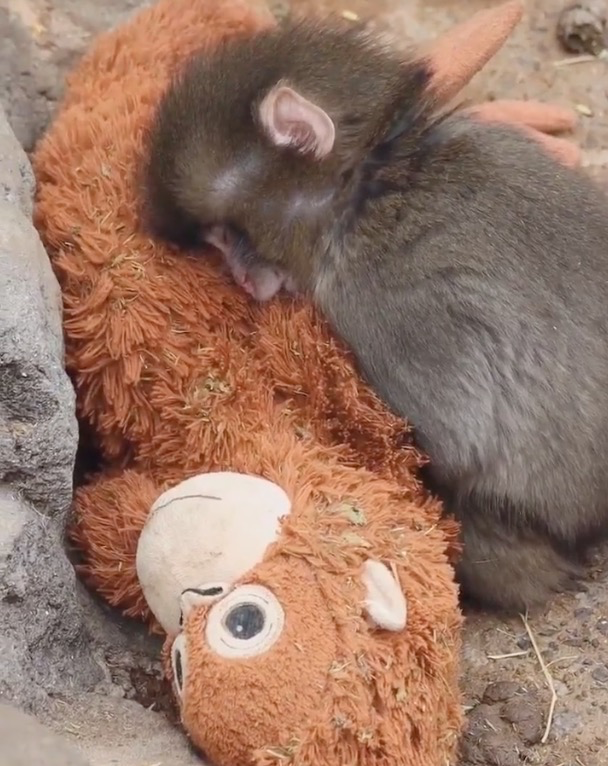 202603_17730921183084.png 640 (14).png