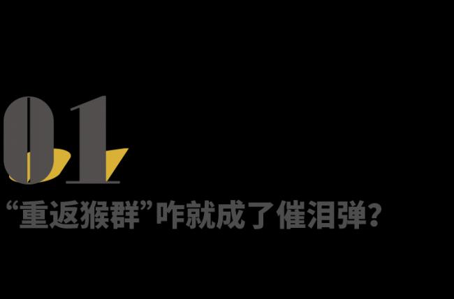 202603_17730921708201.png 640 (15).png