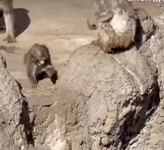 202603_17730921858308.gif 640 (2).gif