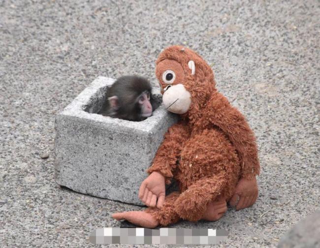 202603_17730922955044.png 640 (17).png