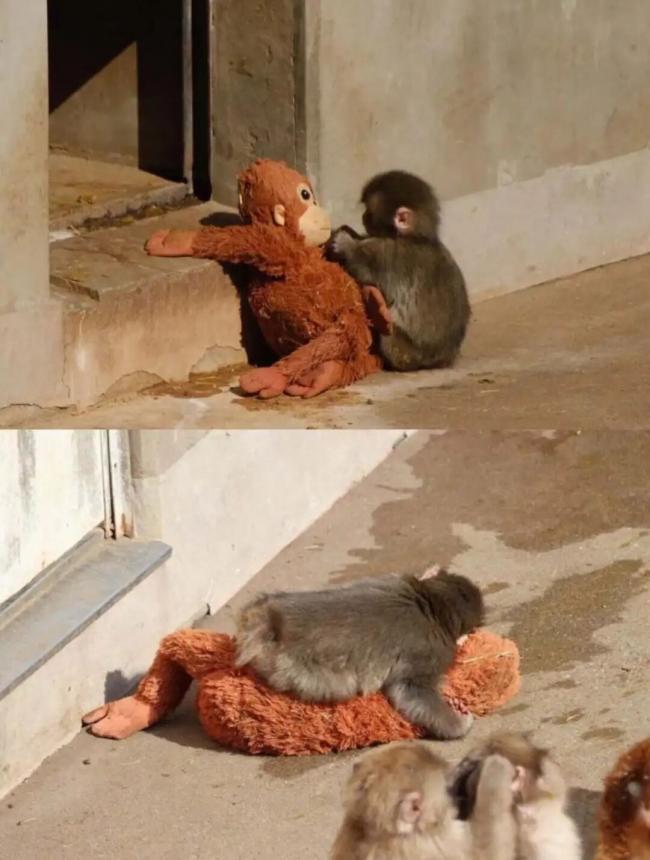 202603_17730924184985.jpg 640 (7).jpg