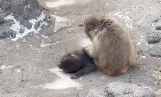 202603_17730924703893.png 640 (20).png