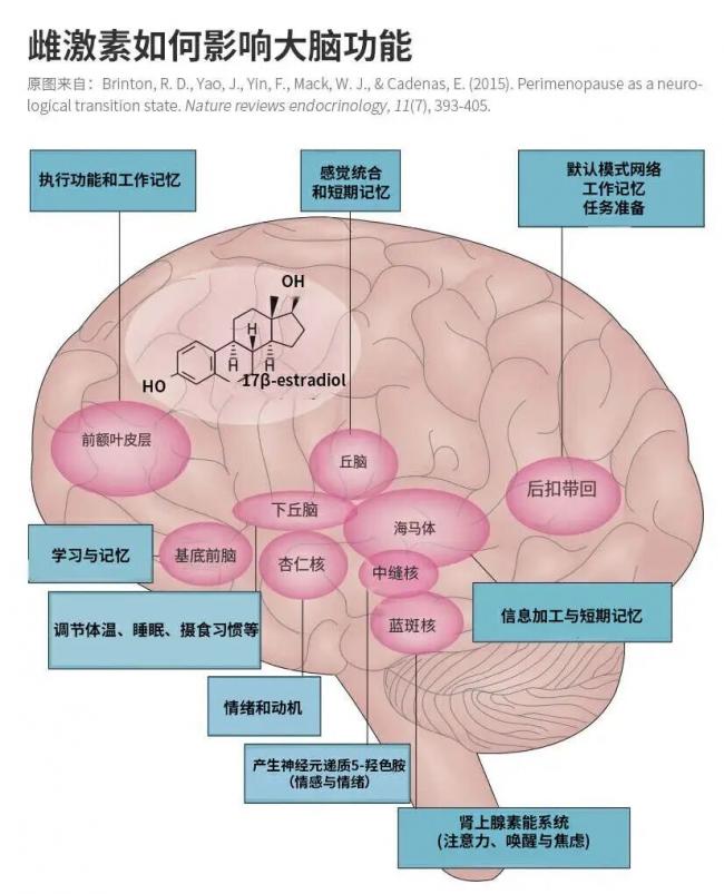 202603_17736877605878.jpg 640.jpg