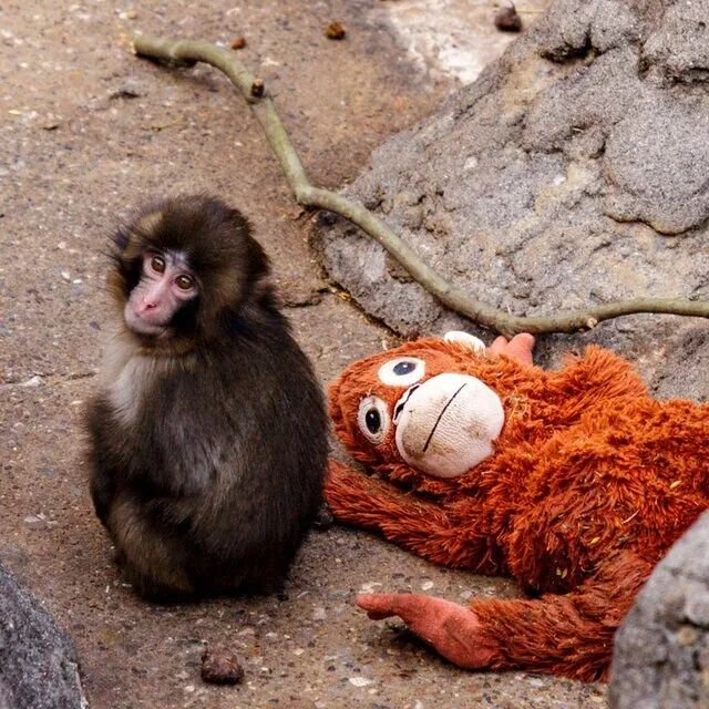 202603_17736882748750.jpg 640 (3).jpg