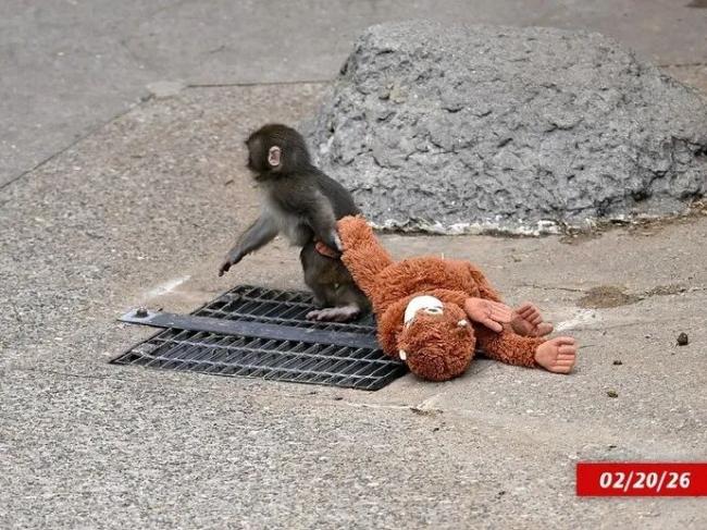 202603_17736882898760.jpg 640 (4).jpg