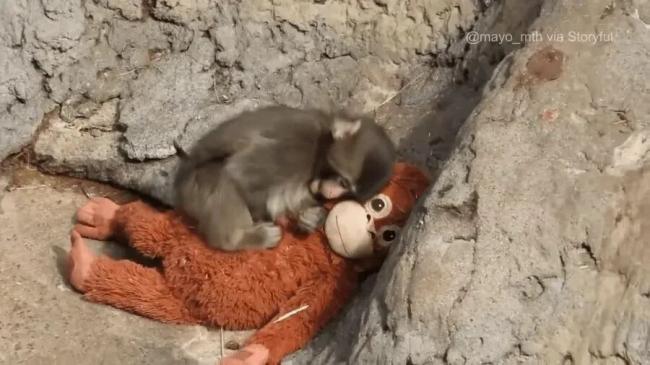 202603_17736883242973.jpg 640 (5).jpg