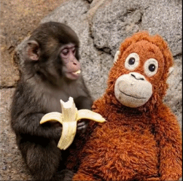 202603_17736883404528.gif 640 (1).gif