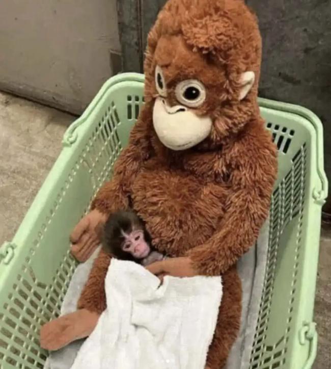 202603_17736883637183.jpg 640 (6).jpg