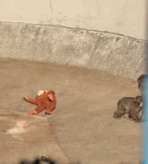 202603_17736883794126.gif 640 (2).gif