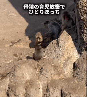 202603_17736883972523.gif 640 (3).gif