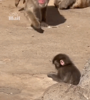 202603_17736884151790.gif 640 (4).gif