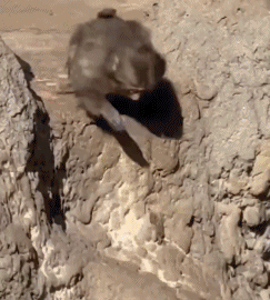 202603_17736884331581.gif 640 (5).gif