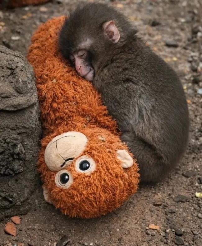 202603_17736884703999.jpg 640 (7).jpg