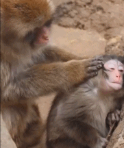 202603_17736884979698.gif 640 (7).gif