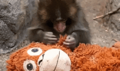 202603_17736885493759.gif 640 (10).gif