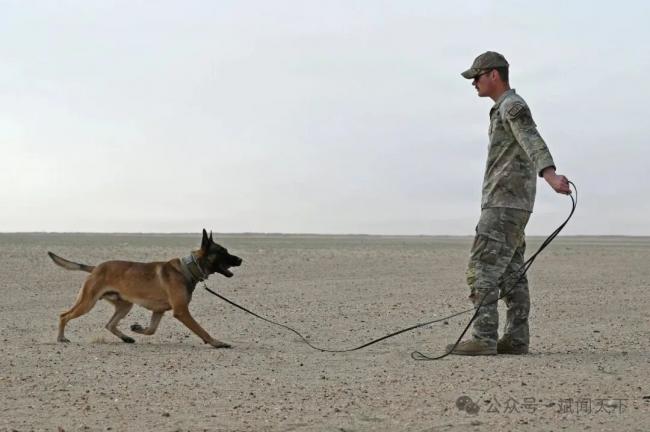 202603_17738628021599.jpg 640 (34).jpg