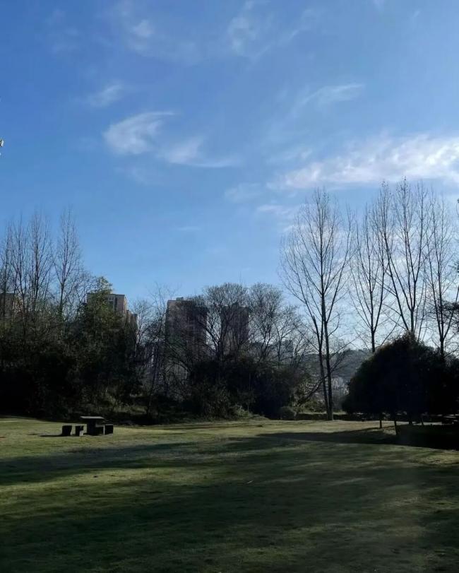 202603_17739517055830.jpg 640 (38).jpg