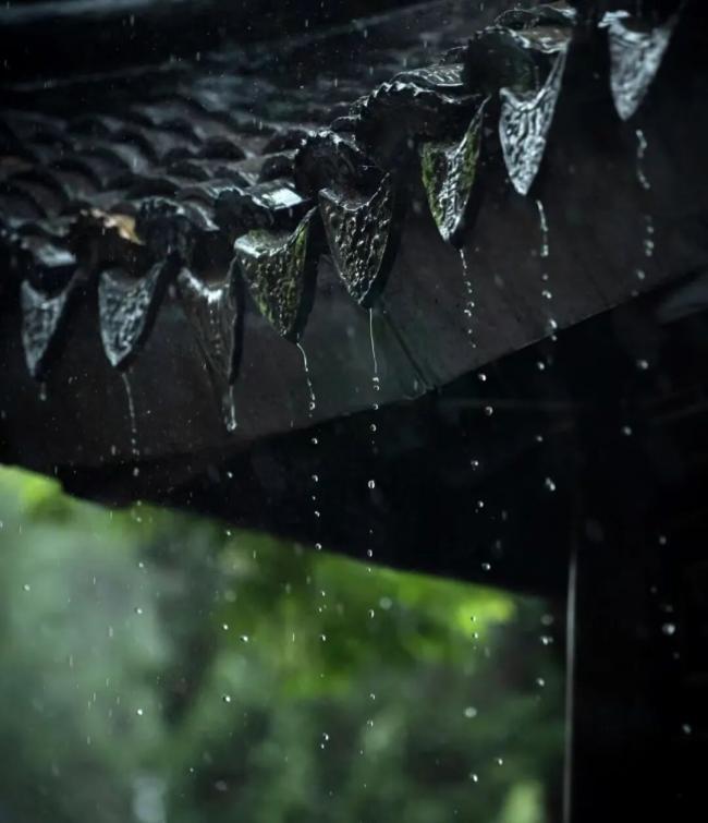 202603_17743819997506.jpg 640 (11).jpg