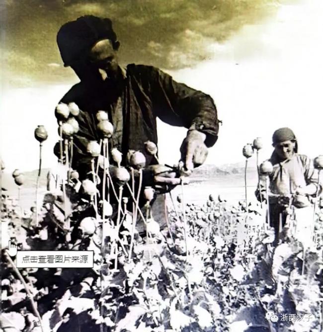 202603_17746377611329.jpg 640 (37).jpg