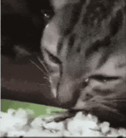 202604_17751598361653.gif 640 (2).gif