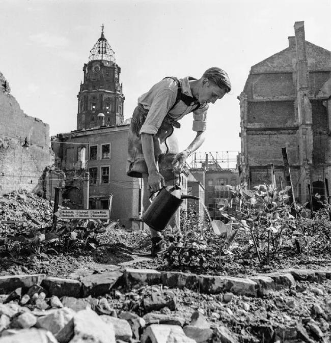 202604_17751606903980.jpg 640 (29).jpg