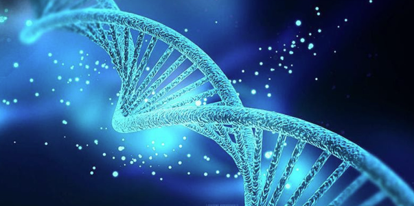 202604_17755921251601.png Capture.PNG