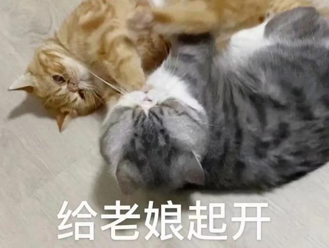 202604_17763635664556.jpg 640 - 2026-04-16T111916.131.jpg