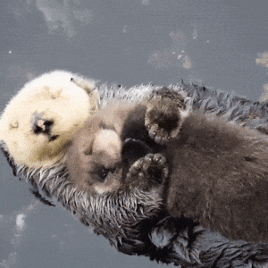 一个家庭能不能过好,看妻子的状态就知道 一个家庭能不能过好,看妻子的状态就知道