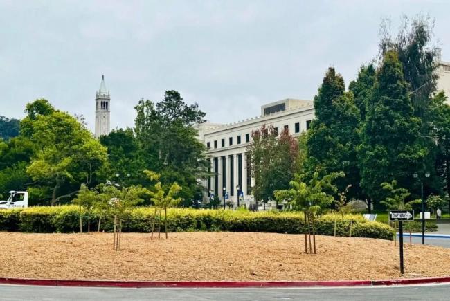 202604_17769757246552.jpg 640 (53).jpg