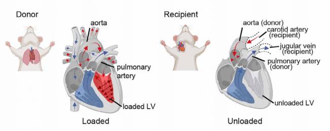 202604_17773160314105.png 640 (17).png