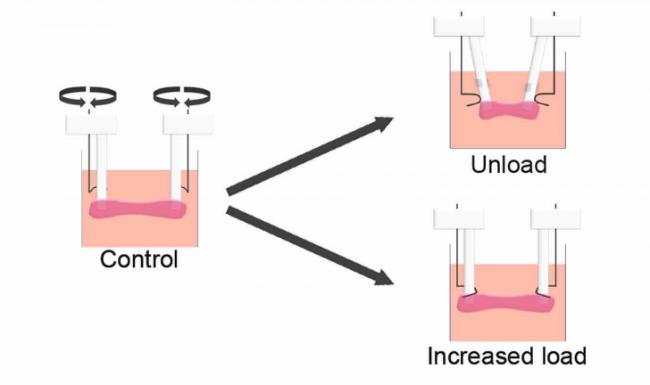 202604_17773160447547.png 640 (18).png