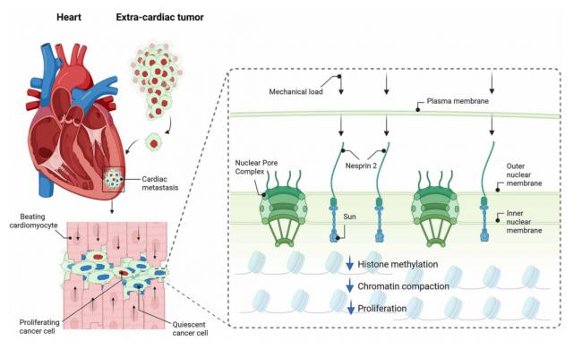 202604_17773160738012.png 640 (19).png