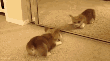 202606_17810385609939.gif 640 (18).gif