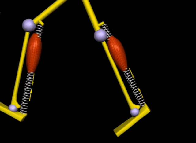 202606_17821485985658.gif 640 (1).gif