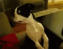 202607_17837161493958.gif 640 (4).gif