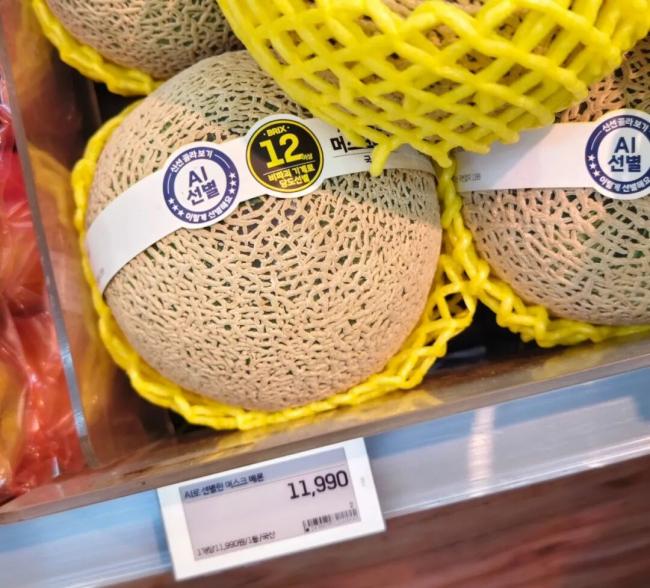 202607_17852601061832.jpg 640 (65).jpg
