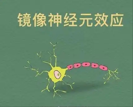 202610_17933069356023.png 640 (37).png