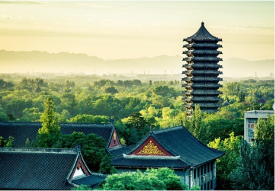 北大校长75岁娶娇妻,被骗光遗产气死 北大校长75岁娶娇妻,被骗光遗产气死