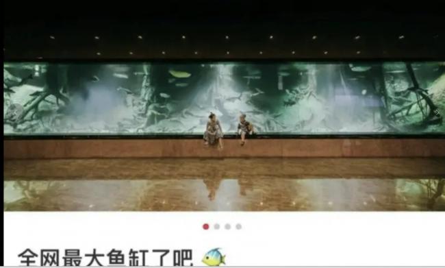 陈志被捕:传妻子是炫富网红,炫富照曝光 陈志被捕:传妻子是炫富网红,炫富照曝光