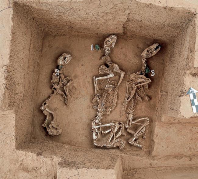 中国发现距今3千多年的野生动物园 中国发现距今3千多年的野生动物园