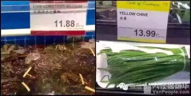 国内这些超便宜的东西 在加拿大贵炸天 国内这些超便宜的东西 在加拿大贵炸天