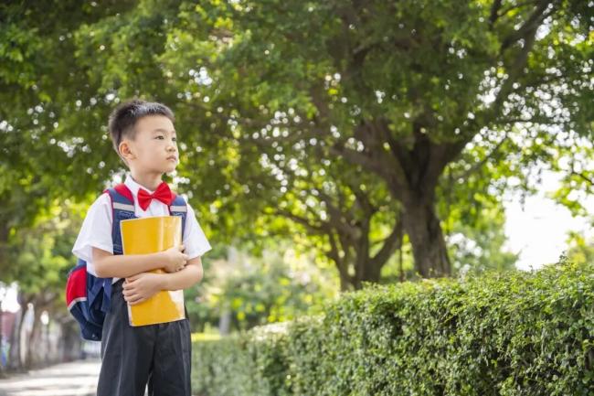 服从性测试从小学门口开始, 为考公考编热身? 服从性测试从小学门口开始, 为考公考编热身?